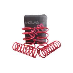 Molas Esportivas Red Coil Gol G2 G3 G4 1.6 1.8