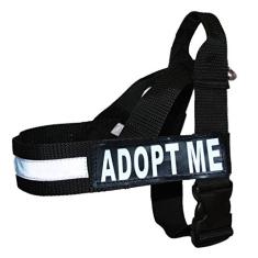 Coleira de nylon Adopt ME para cães de serviço, sem guia de puxão, vem com 2 adesivos removíveis Adopt ME refletivos. Meça seu cão antes de fazer o pedido.