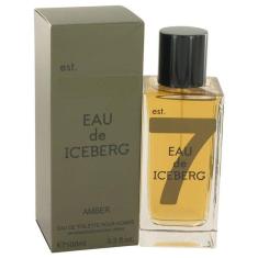 Perfume Masculino Amber Iceberg 100 Ml Eau De Toilette