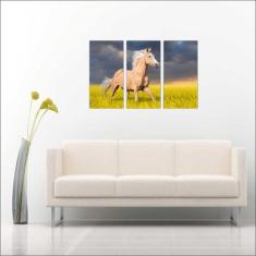 Quadro Decorativo Animais Cavalo Salas 3 peças Com Moldura - Vital Qua