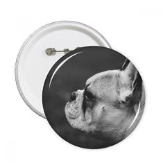 Cão animal de estimação imagem cinza pinos redondos emblema emblema acessório decoração 5 peças