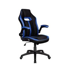 Cadeira Gamer Pelegrin PEL-3011 Preta e Azul-Unissex