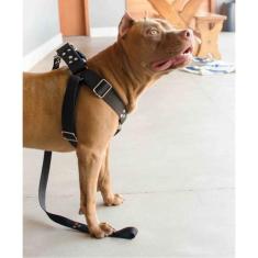Peitoral Cachorro com Guia e Adaptador serve Pit Bull Labrador - dedca