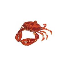 Caranguejo De Pelúcia Real Laranja 22 Cm Antialérgico