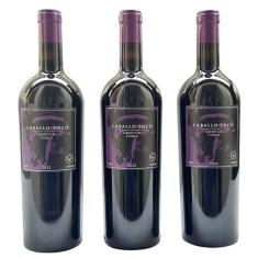 Vinho Caballo Loco Grand Cru Curicó 750ml  Oferta