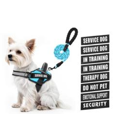 Conjunto de coleira e coleira para cães de serviço, Animire in Training Dog Harness com 10 adesivos para cães, coleira refletiva para cães com alça acolchoada macia para cães pequenos, médios, grandes