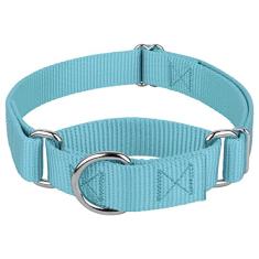 Coleira Country Brook Petz Martingale para cães - Coleira de treinamento resistente sem fivela - Coleira para cães de serviço para todos os filhotes - Coleção vibrante e colorida (azul oceano, 2,5 cm,