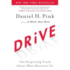 Drive: The Surprising Truth about What Motivates Us