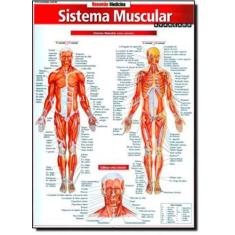 Resumao Medicina - Sistema Muscular Avancado