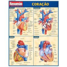Resumão - Coração