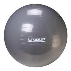 Bola Suíça 65cm Liveup - Cinza - Live Up