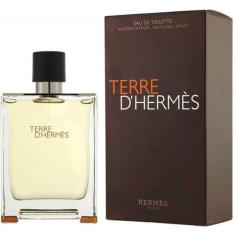 Perfume Terre D'Hermés Eau De Toilette Masculino 100 ml