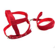 Conjunto Peitoral e Guia de Camurça 25mm Vermelho Tamanho 5 - Nica pet