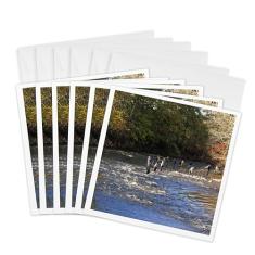 Cartões comemorativos - Pescadores no rio salmão ny - Pacote com 6 - Nature N Wildlife scenic