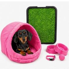 Kit Cama Toca Iglu Médio Pet Sanitário Grama Comedouro Coleira Bolinha