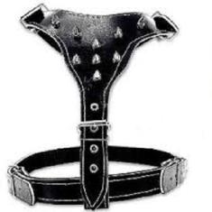 Peitoral Forrado de Pit Bull Com Cravo - Imperium Aquarios