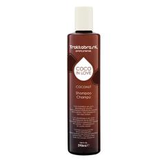 Shampoo Coconut Profissional Tratta 290Ml Trattabrasil 