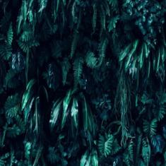 Biela Completa Txk Ybr 125.