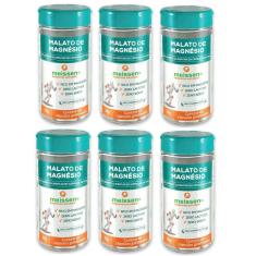 Kit 6 X Malato De Magnésio 60 Caps 500Mg Meissen