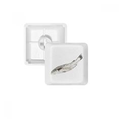 Kit de atualização de teclado mecânico PBT teclado mecânico Ocean Fish Fresh White