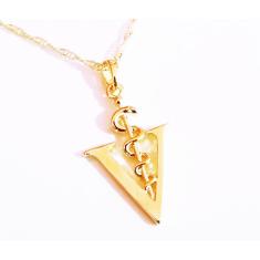 Colar Cordão Amor É Cuidar Veterinária Folheado A Ouro 18k