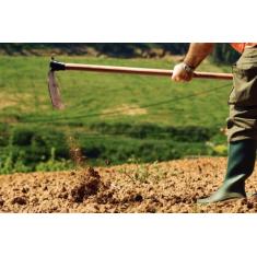 Enxada Larga 2.5 Tramontina em Aço com Cabo de Madeira 145 cm