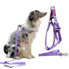 Coleira Peitoral com Regulagem Traseira G + Guia para Cachorro - Canad