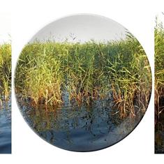 Prato de porcelana decorativa Paddy Field Prato de jantar Salver