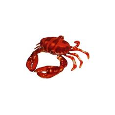 Caranguejo de Pelúcia Realista Laranja 22 cm Antialérgico