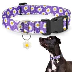 Coleira para cães Ayaseen para cães pequenos, médios, grandes, florais, meninas, meninos, roxo, coleira de cachorro fofa com pingente ajustável, flor macia, coleira para animais de estimação com