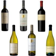 Combo Vinhos Argentinos 6 Unidade = 3 Tintos + 3 Brancos