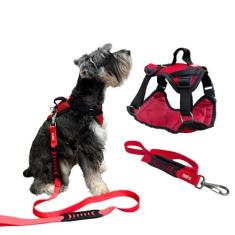 Peitoral Safari com Guia para Cachorros - Cores Variadas - Canadá K9 A