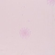 Papel de Parede Floral Rose - PP102-1 