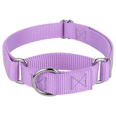 Coleira Country Brook Petz Martingale para cães - Coleira de treinamento resistente sem fivela - Coleira para cães de serviço para todos os filhotes - Coleção vibrante e colorida (lavanda, 2,5 cm,