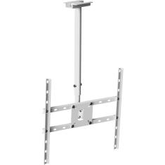 Suporte Teto TV 10" a 65" OLED/LED/LCD/3D Multiforma-Branco