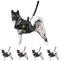 Coleira De Cachorros Grandes Porte Peitoral Com Bolso Lateral + Guia C