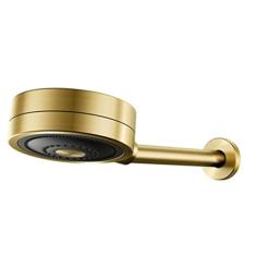 Chuveiro Docol Novo Technoshower 1204872 de Parede Ouro Escovado