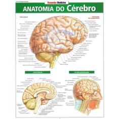 Resumão - anatomia do cérebro, 3