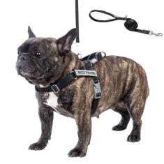 Wuffley Conjunto de coleira e coleira para cães Easy Walk, Freedom sem puxão, com 2 adesivos, à prova de fuga/ajuste rápido para ajustar o peitoral para cães, fácil de treinar, caminhar para cães