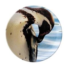 Prato de imagem da natureza do pinguim da Antártica do oceano, Prato decorativo de porcelana Salver, Prato de jantar
