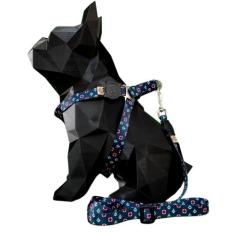 Coleira para cachorro com guia longa 2 metros para passeio modelo peit