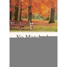 No Mundo Da Mediunidade