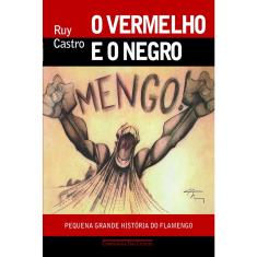 Livro - O vermelho e o negro