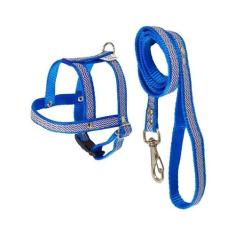 Peitoral com Guia Griff Dog Azul para Cães - Tamanho 1