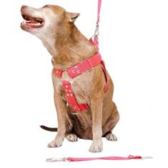 Peitoral Cachorro com Guia e Adaptador serve Pit Bull Labrador - dedca