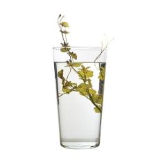 Vaso Luvidarte Cone Transparente - Tam 2