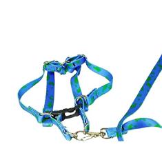 Conjunto Peitoral Ajustável RBPet com Guia - Cães de Micro Porte