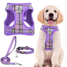 PUPTECK Conjunto de coleira e coleira ajustável para cães pequenos, filhotes e gatos ao ar livre, treinamento e corrida ao ar livre, colete refletivo acolchoado de malha macia