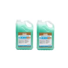 Kit 2 Sabonetes Líquido Audax Gold  5l