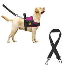 Coleira Peitoral Para Cães Com Cinto De Segurança Ajustável Guia Com A